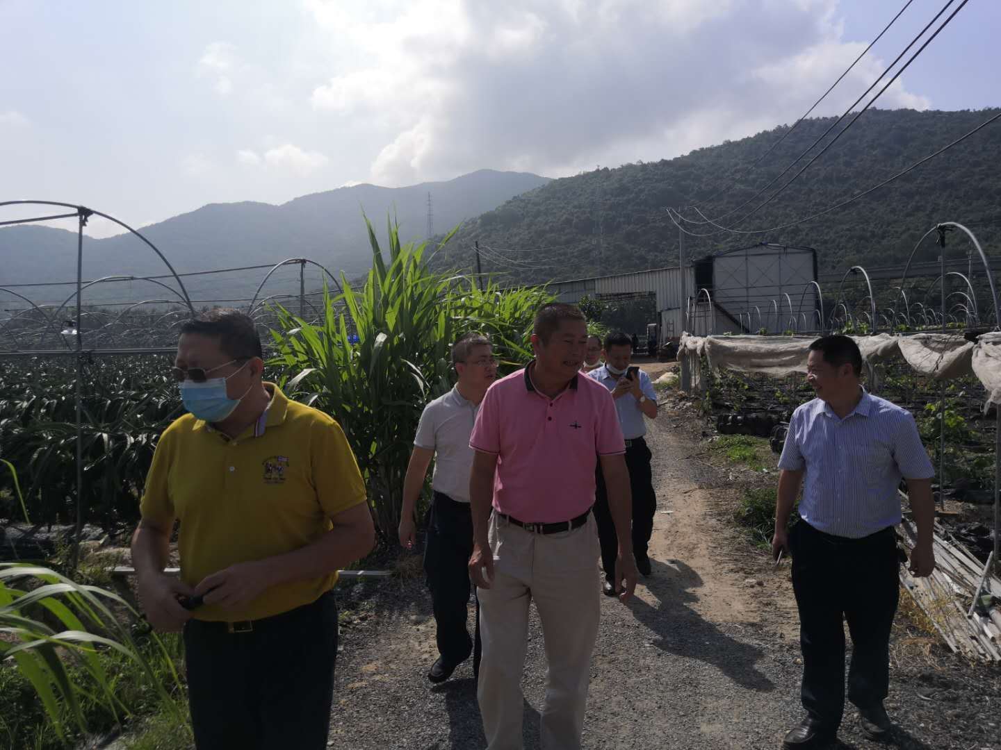 市农业农村局牵头把脉中廖永生农民专业合作社